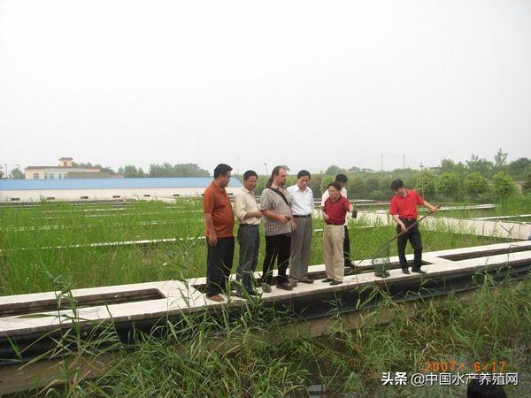 三圣乡垃圾站升级改造工程最新进展，绿色转型与社区共生的新篇章