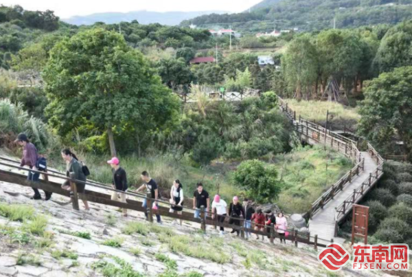 涵江小鱼网最新新闻，聚焦地方发展，共绘乡村振兴新图景