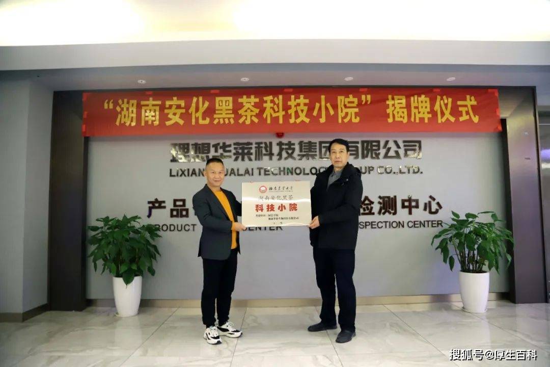 探索华莱黑茶最新奖金制度，创新与机遇的双重奏鸣