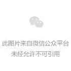 自由舰，探索无限可能的航海之旅